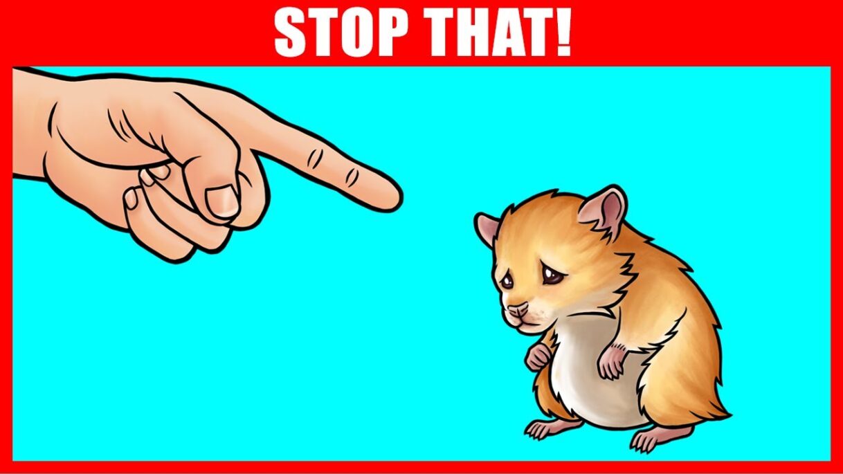 14 Ways You Are Hurting Your Hamster Without Realizing