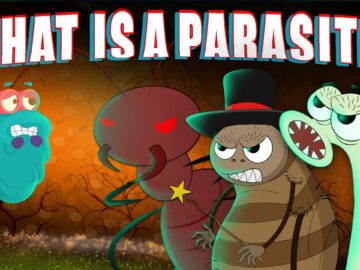 PARASITE | What Is A PARASITE? | Biology For Kids | The Dr Binocs Show | Peekaboo Kidz