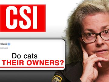 We Asked a CSI Investigator 37 Tough Questions | Honesty Box