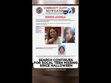 Mom desperate for answers amid search for teen missing