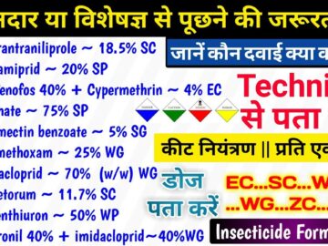 Insecticide Technical (Dose find) | Insecticide Formulation |EC| SC |WP| WG| SL