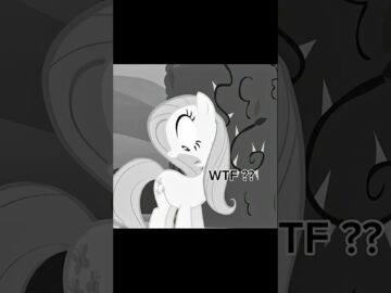 Wtf moments Mlp #mlp #mylittlepony #rainbowdash #fluttershy #rarity #viral #twilightsparkle #edit