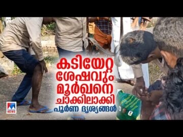 കടിയേറ്റിട്ടും മൂര്ഖനെ പിടികൂടി; സ്വയം പ്രഥമശുശ്രൂഷ നടത്തി; ഞെട്ടിക്കുന്ന ദൃശ്യങ്ങള്|Vava Suresh |