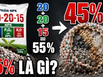 NPK 20-20-15: 45% Còn Lại Là Gì? Nhiều Người Đang Hiểu Sai!