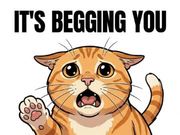 13 Ways Your Cat Is Trying to Talk to You 🚨 (Stop Ignoring Number 4)
