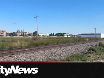 Body of missing 11-year-old Calgary boy believed to be found: CPS
