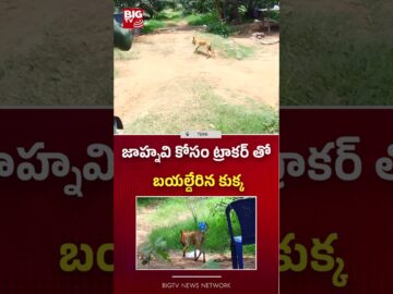 Kakinada Jahnavi Missing Updates | Kakinada Child Jahnavi Missing | BIG TV