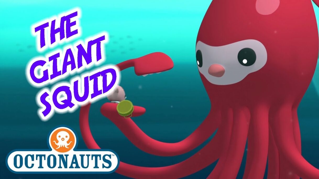 Octonauts – The Giant Squid | Series 1 | Full Episode | Cartoons for Kids