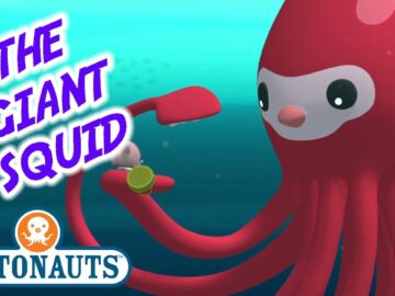 Octonauts – The Giant Squid | Series 1 | Full Episode | Cartoons for Kids
