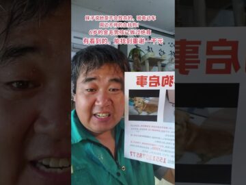 這和毛孩子多深的感情,狗丟了這么久,依然不放棄,一直在找!我也幫發一下!盼望著早點兒有狗狗的消息!#寵物走失尋找 #同城尋狗求助 #走失狗狗 #尋狗啟事 #金毛1