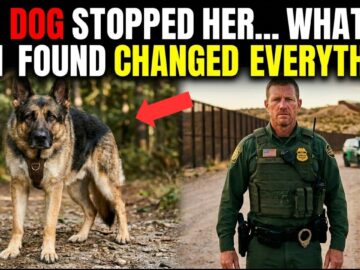 FBI K9 Tracks a Missing Girl for 3 Days — What He Did at the River Broke Every Heart