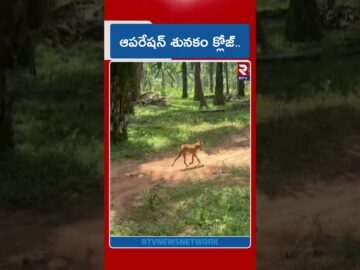 ఆపరేషన్ శునకం క్లోజ్.. | BIG Twist In Kakinada Missing Girl Mystery | RTV