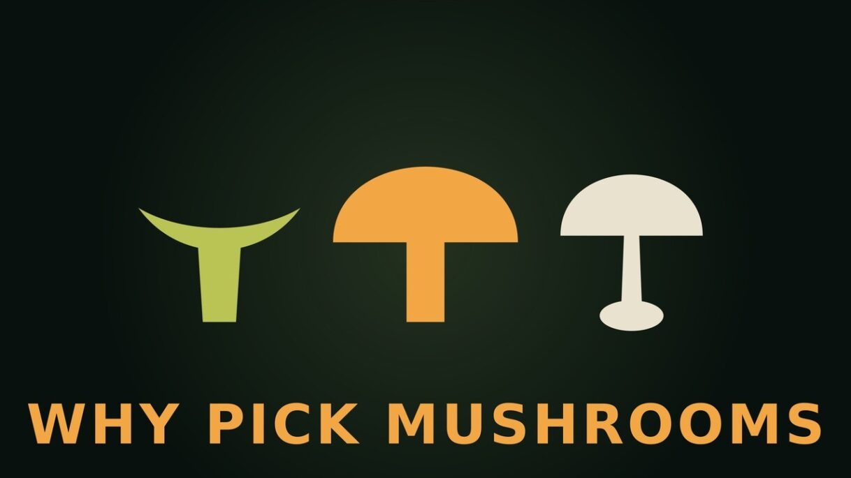 Why Do People Go Mushroom Hunting?