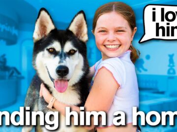 My Daughter Has 24 Hours to SAVE A PUPPY *emotional*