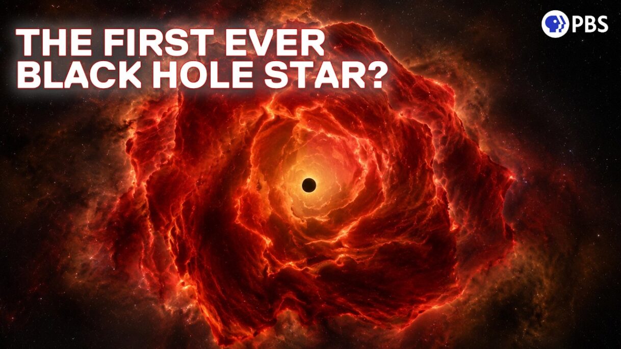 JWST May Have Discovered a New Cosmic Object: The Black Hole Star