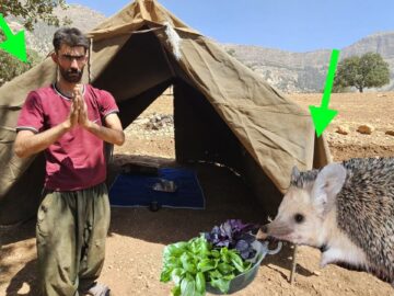 Shahin Builds a New Home While Searching for His Missing Children | A Father’s Hope😱😱😱😱