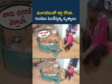 Tuni Missing Girl Jahnavi Mystery Case : మూగజీవంతో తల్లి రోదన.. గుండెలు పిండేస్తున్న దృశ్యాలు! -TV9