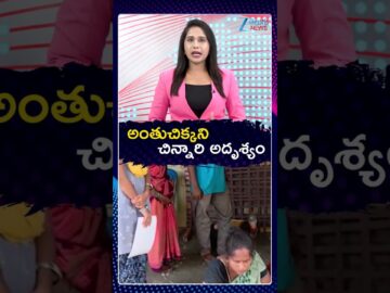 Kakinada Jahnavi Missing Case Mystery | అంతుచిక్కని చిన్నారి అదృశ్యం | ZEE Telugu News