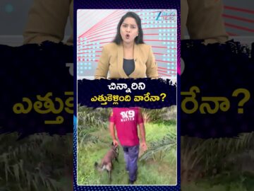 Twist In Kakinada Jahnavi Missing Case | చిన్నారిని ఎత్తుకెళ్లింది వారేనా | ZEE Telugu News