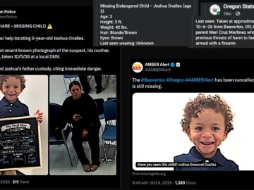 AMBER Alert Wrongfully Cancelled As This 3 Year Is Still Missing