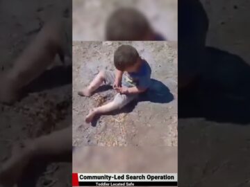 Missing Toddler Found Alive on Mountain After Hours of Community Search