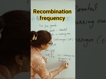 Recombination Frequency || Map Unit || Centimorgan || #neet2026 #biologytextbook