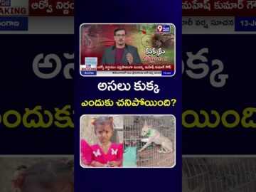 అసలు కుక్క ఎందుకు చనిపోయింది?| Big Twist In Tuni Girl Gnaneswari Missing Case | 9Plus News