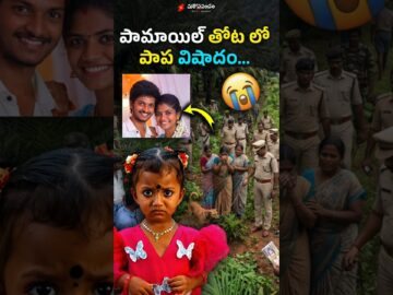 పాప ప్రాణాలతో బ్రతికే ఉందా ? Tuni Girl Missing case #telugufacts #viral #shortsfeed #telugushorts