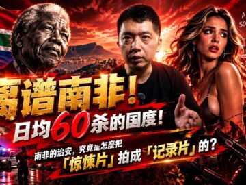 离谱南非!日均60杀的国度!南非的治安,究竟是怎麽把「惊悚片」拍成「记录片」的?#南非 #南非经济 #南非治安 #开普敦 #曼德拉