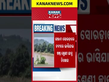 ଋଷିକୁଲ୍ୟାରେ ଭାସିଗଲେ ଛାତ୍ର, Rushikulya River Student Missing | Class 6 Boy Swept Away in Sorada