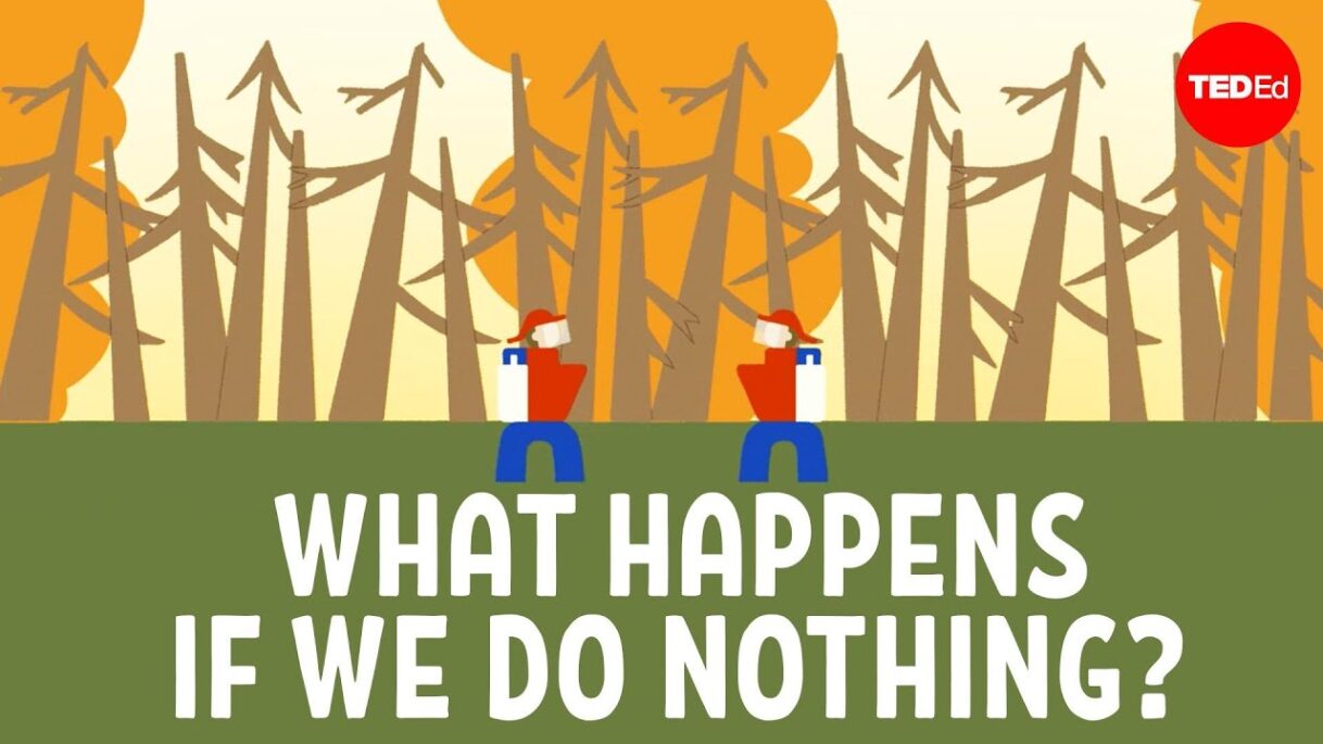 What Earth in 2050 could look like – Shannon Odell